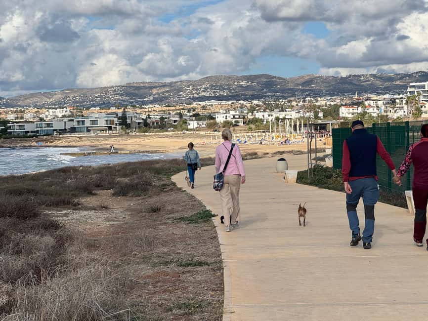 Paphos: Lighthouse Area Beach Walk with Rescue Dogs - Key things that make this dog walk special