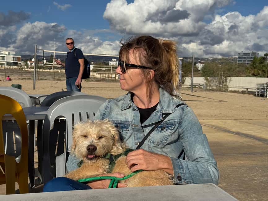 Paphos: Lighthouse Area Beach Walk with Rescue Dogs - Why the Paphos Lighthouse dog walk feels different