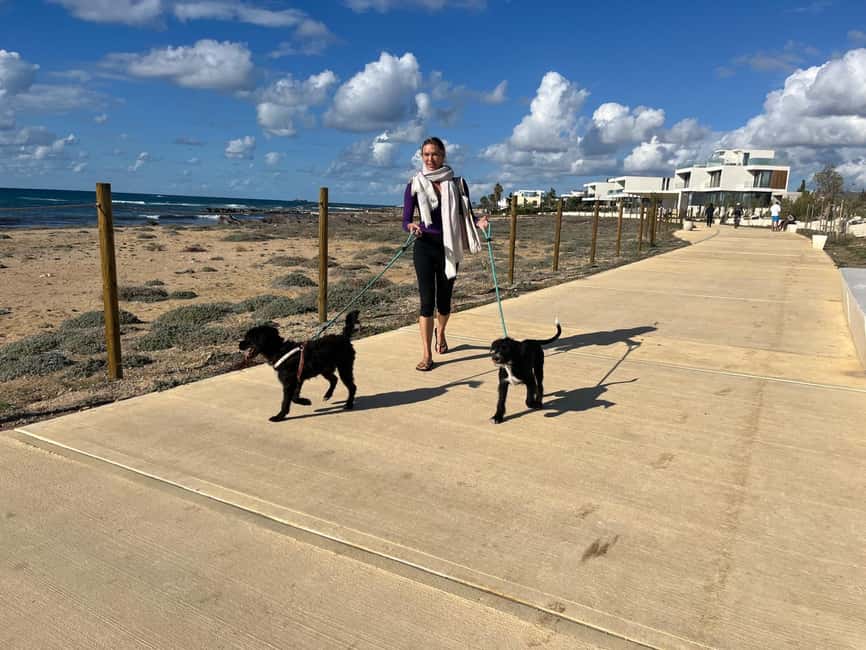 Paphos: Lighthouse Area Beach Walk with Rescue Dogs - The one-hour coastal walk: flat pace, big sea views