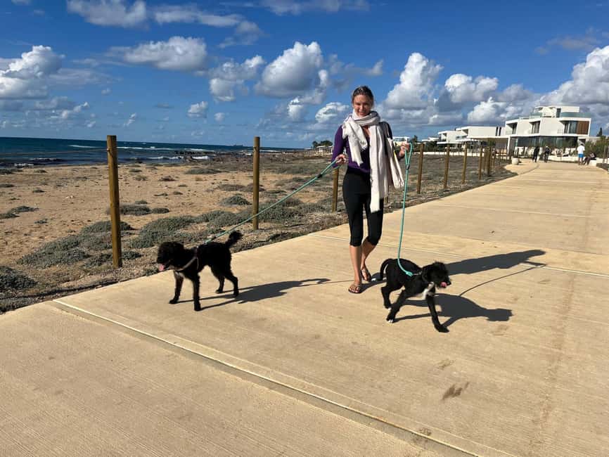 Paphos: Lighthouse Area Beach Walk with Rescue Dogs - The rescue mission in Cyprus: what you learn as you walk