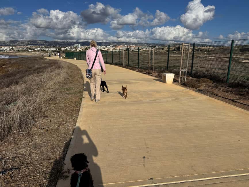 Paphos: Lighthouse Area Beach Walk with Rescue Dogs - Price and value: is $29 for an hour worth it?