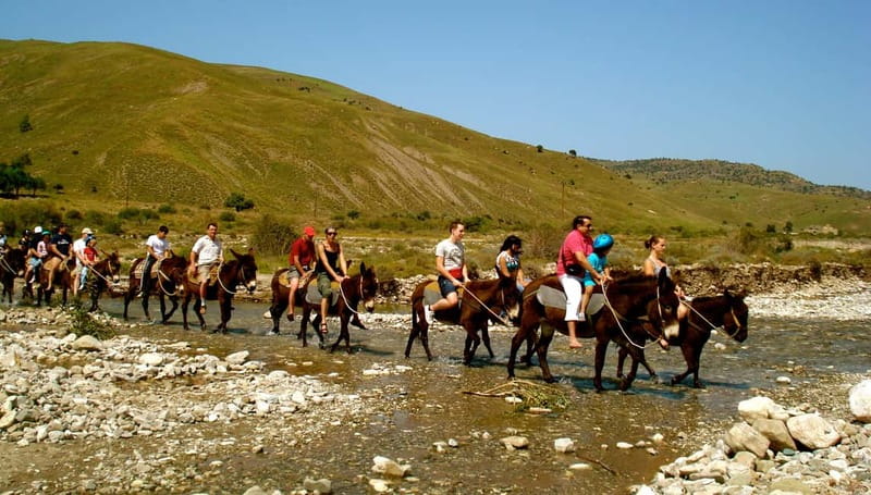 Paphos/Limassol: Donkey Farm Day Trip with Lunch & Tastings - Pickup, coach time, and the Xeros River valley drive