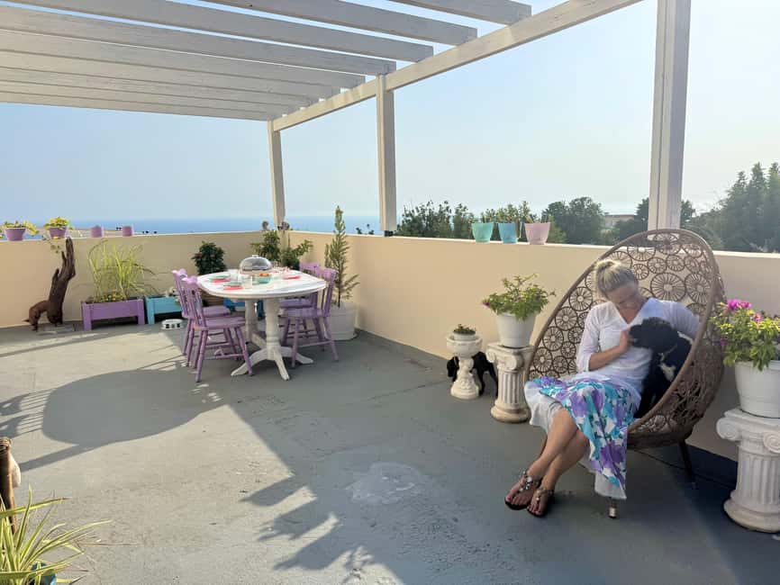 Paphos/ Peyia: Coffee, Cake, and Cuddles with Rescue Puppies - Enter the foster villa garden, last house in the street
