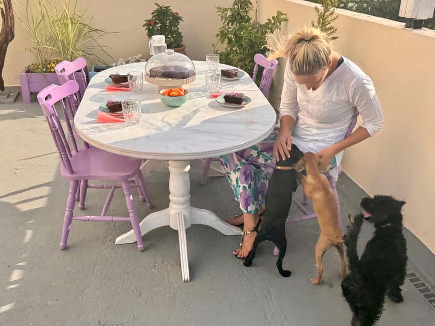 Paphos/ Peyia: Coffee, Cake, and Cuddles with Rescue Puppies - What 90 minutes feels like, step by step