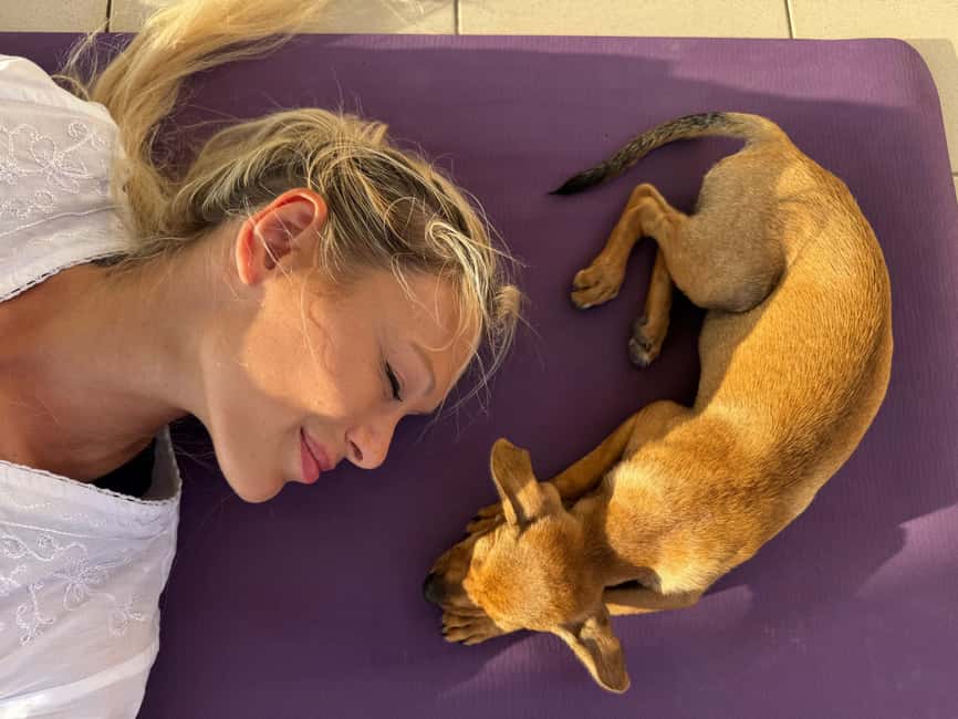 Paphos (Peyia): Mindful Yoga with Rescue Puppies - A Sea-View Yoga Class That Actually Lets the Puppies Be Puppies