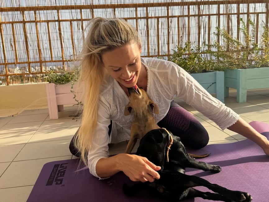 Paphos (Peyia): Mindful Yoga with Rescue Puppies - The Best Part, According to the Energy People Bring