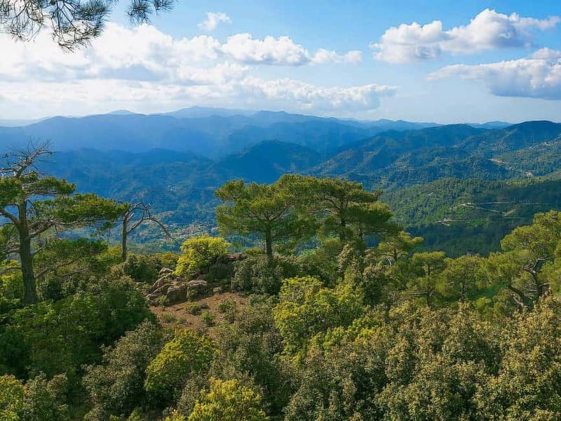 Paphos: Scenic Troodos Mountains Tour with Wine Tasting - Key things to know before you go