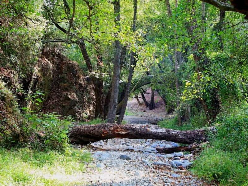 Paphos: Scenic Troodos Mountains Tour with Wine Tasting - Lambouri Winery: Commandaria and Zivania in one stop