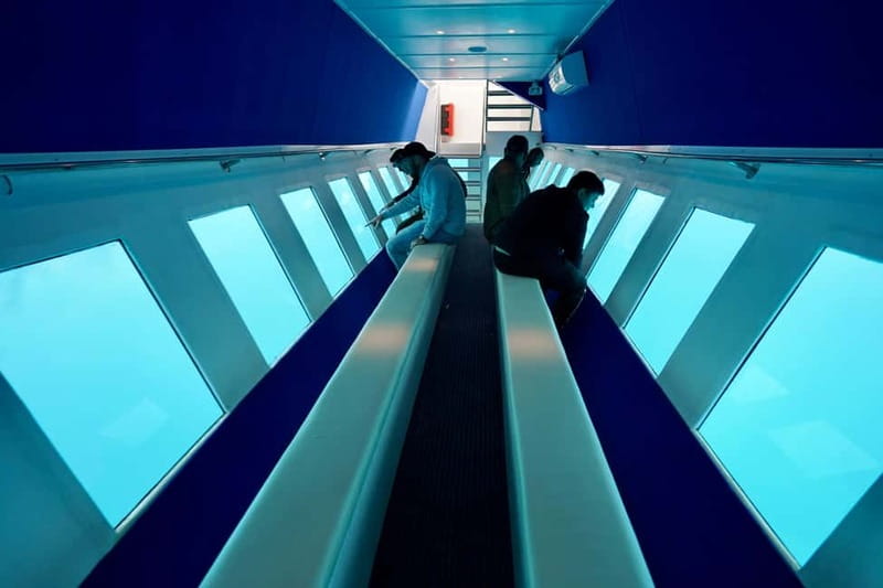 Paphos: Sunset Cruise, Turtle Watching, & Unlimited Drinks - The underwater cabin experience: 20 viewing windows, turtles, and how to get better sightings