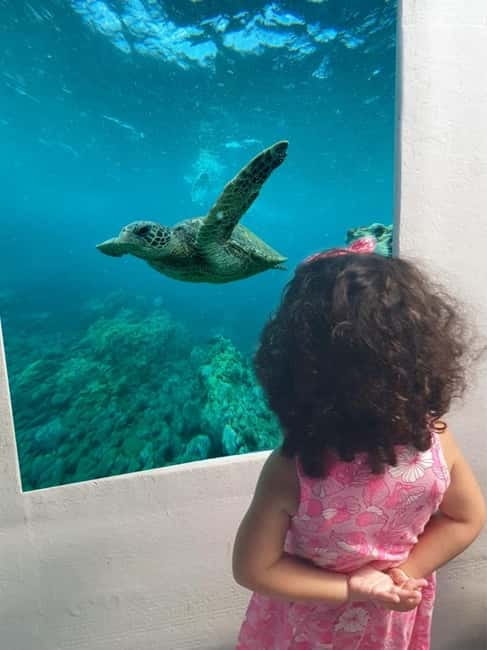 Paphos: Swim Cruise with Turtle Watching, Drinks & Aperol - A glass-view cruise that keeps moving for 2 hours