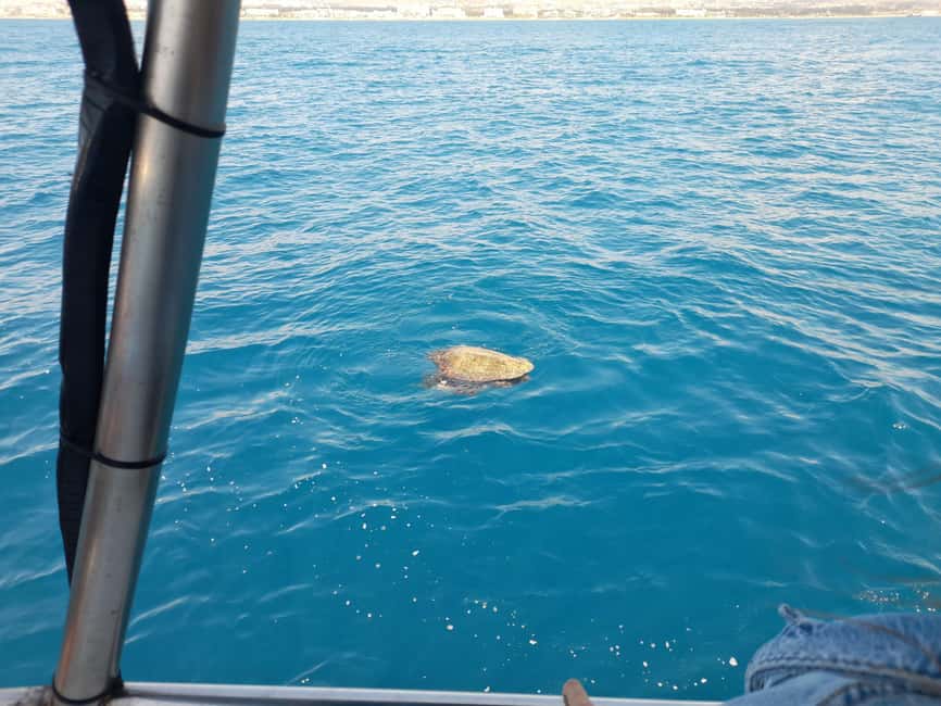 Paphos: The Yellow Glass-Bottom Boat Cruise Swim & Snorkel - Moulia Islands stop for rock formations and maritime stories
