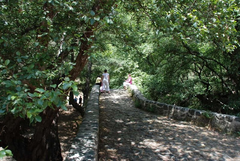 Paphos: Troodos-Kykkos Land Rover Treasure Jeep Safari - Water Dam and Tshelefos Bridge: seeing the island’s practical side