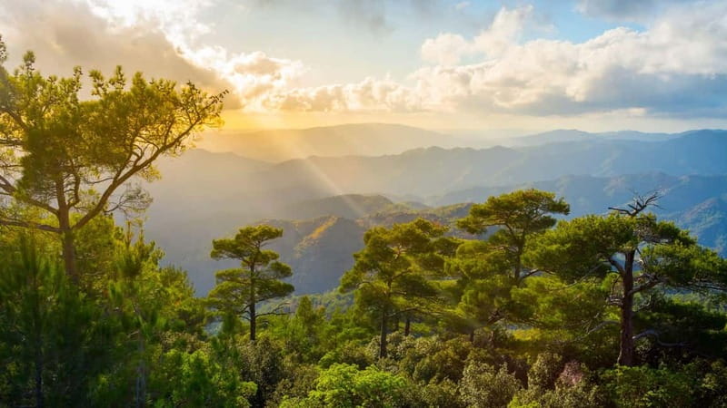 PAPHOS: Troodos Mountains "Monasteries & Villages" by coach - Paphos Forest and your first monastery stop: Chrysorrogiatissa