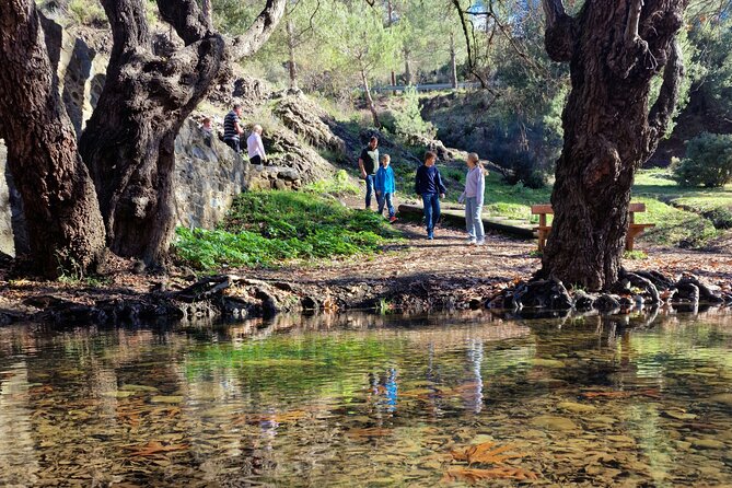 Paphos - Troodos mountains: To the highest peaks. - Key highlights that make this day work