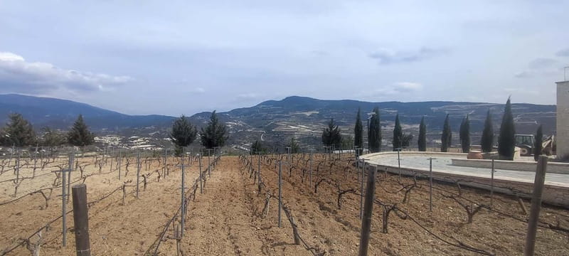 Paphos: Troodos Mountains Villages Tour with Wine Tasting - What to pack for Troodos weather and comfort (and what to skip)
