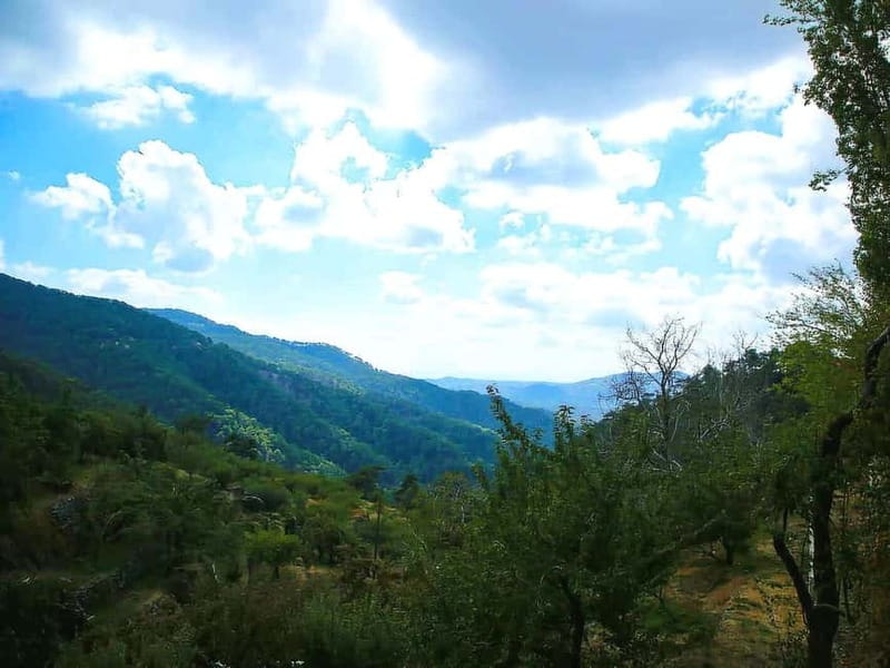 Paphos: Troodos, Omodos & Kykkos Monastery Full-Day Tour - Key things to know before you go