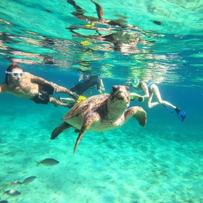 Paphos: Turtle-Watching Snorkeling Sea Scooter Trip - Key points before you go