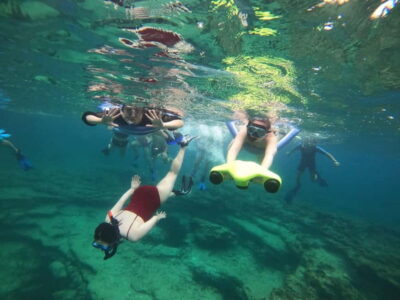 Turtle-Watching Snorkeling Sea Scooter Trip