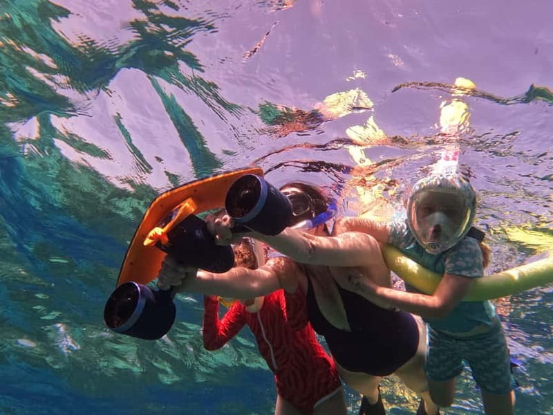 Paphos: Turtle-Watching Snorkeling Sea Scooter Trip - Small Group Numbers, Shared Scooters, and Your Comfort Level