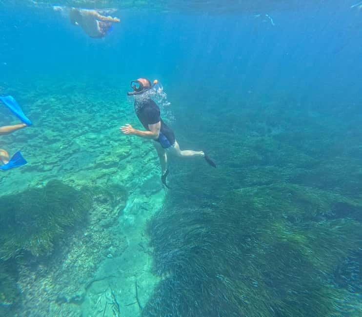 Paphos: Turtle-Watching Snorkeling Sea Scooter Trip - Languages and Guides: You Will Be Understood