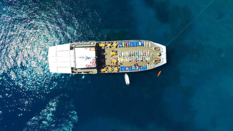 Paphos: Wave Dancer Half-Day Cruise with BBQ and Open Bar - Value check: is $81 per person a good deal?