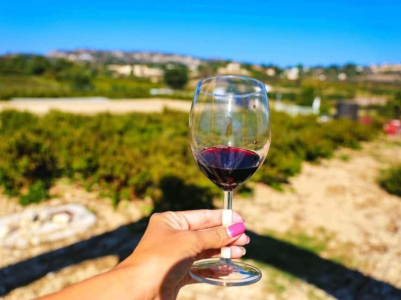 Paphos: Wine Tour – Vineyards, Tastings & Scenic Views - Kathikas to Sterna Winery, indigenous grapes and a guided visit in real time