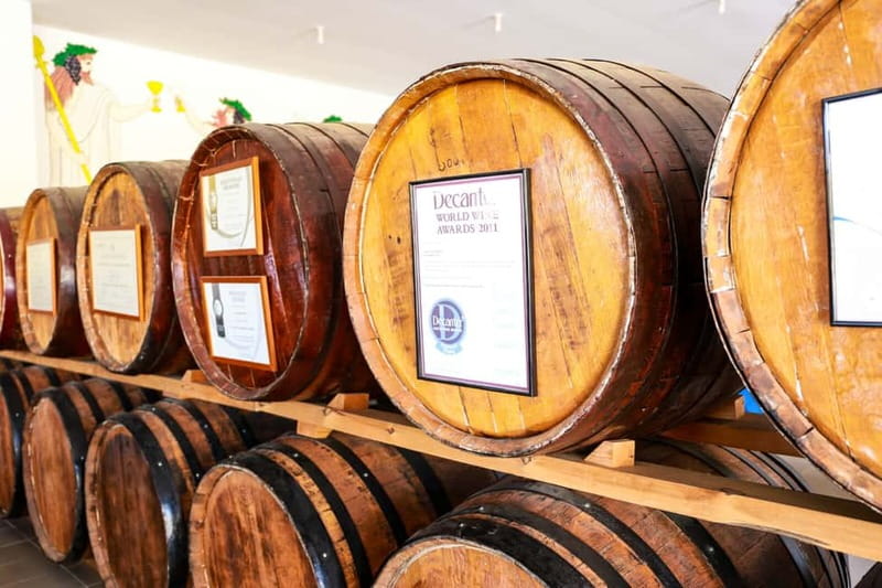 Paphos: Wine Tour – Vineyards, Tastings & Scenic Views - Lunch timing at Mastros, and what you pay for yourself