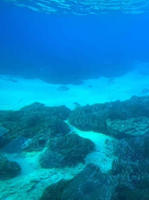 Paphos: Yellow Submarine Swim Cruise with Unlimited Drinks - Atlantis Beach swim for about 40 minutes, plus underwater fish action