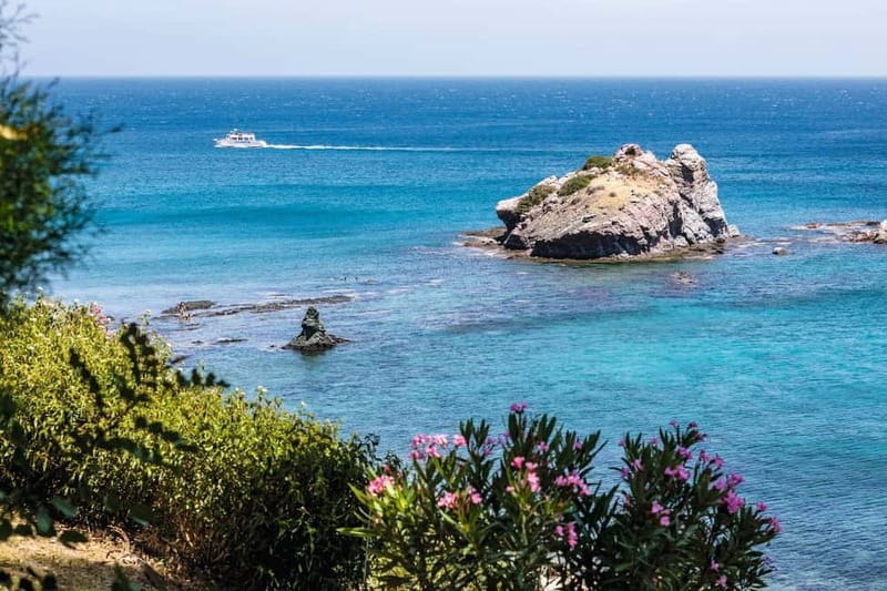 Paphos: Zoo Visit and Blue Lagoon Cruise with Guide & Lunch - Two more reasons this day works