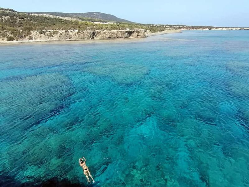Paphos: Zoo Visit and Blue Lagoon Cruise with Guide & Lunch - Lunch at the Flamingo Restaurant: What You Get and Why It’s Convenient