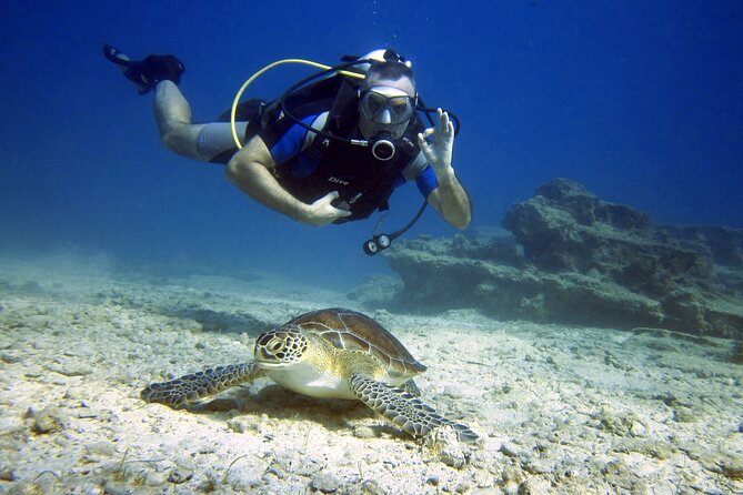 Private Discovery Dive + Photos & Videos - Key things to know before you go