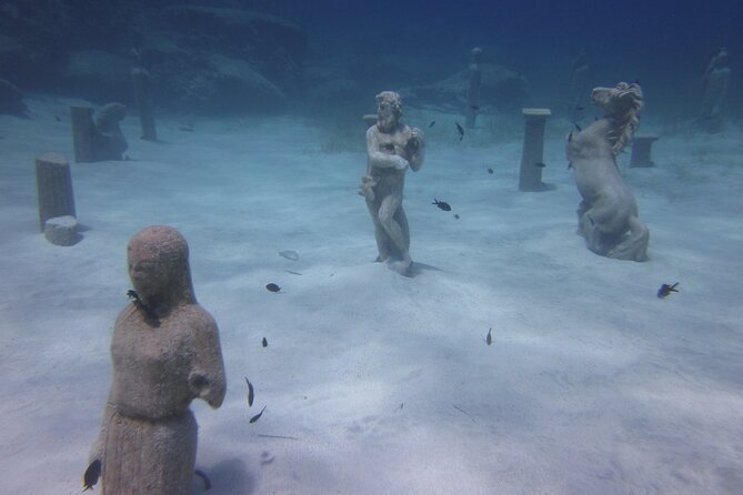 Private Discovery Dive + Photos & Videos - What happens back at the centre: photos, videos, and a nicer ending than you expect