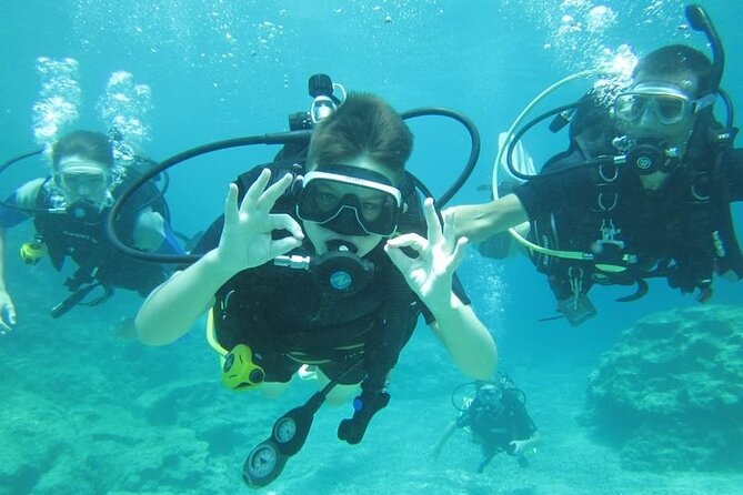 Private Discovery Dive + Photos & Videos - Should you book this private discovery scuba session?