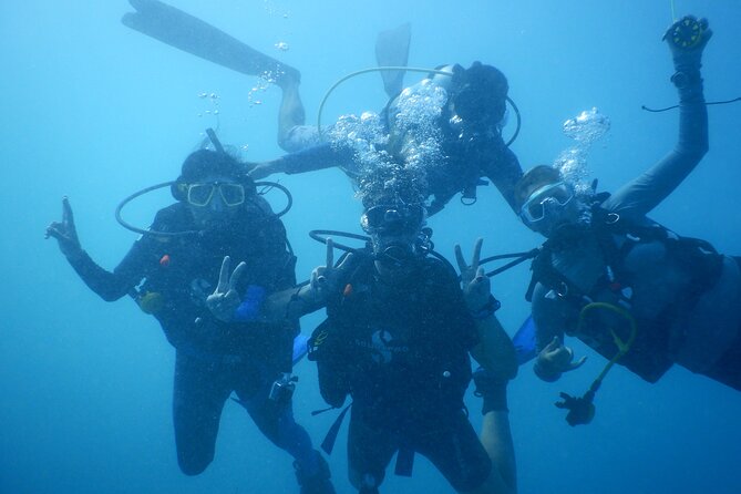 Private Discovery Scuba Diving with Sea Turtles - How The 3.5 Hours Usually Unfold