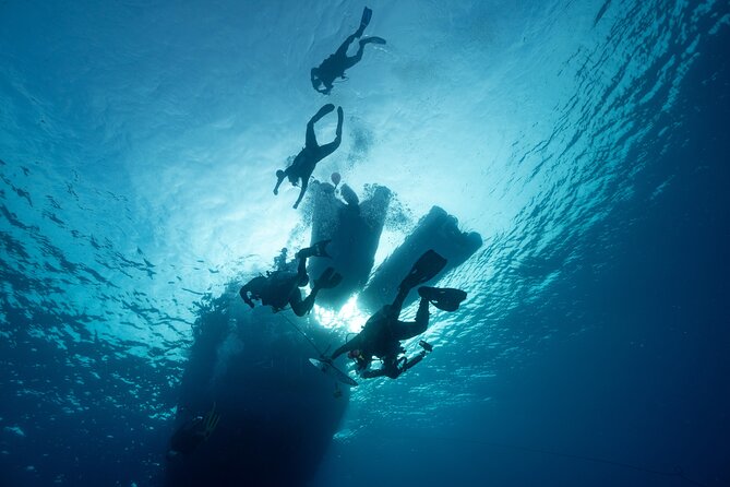 Private Discovery Scuba Diving with Sea Turtles - Sea Turtle Sightings Are Weather Permitted, So Plan for Flexibility