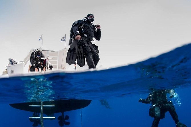 Private Diving at Zenobia Wreck in Larnaka - Key Highlights Worth Your Attention