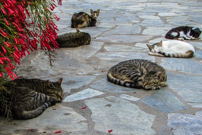 Private Full-Day Tour to Cyprus Monasteries - How flexibility works in the real world, including weather