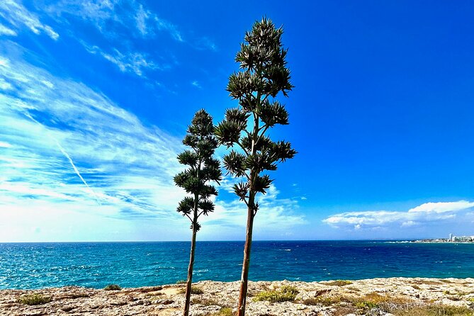 Private guided - Explore the Wonders of Cape Greco - Koraka Bridge and Agioi Anargyroi: the bigger “wow” stop