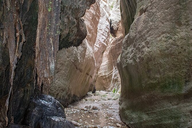 Private Jeep Safari Bath of Aphrodite including Adonis Waterfalls - Latchi Lunch Break: A Real-Time Pause for Food and Reset