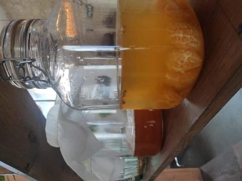 Private Kombucha Making Workshop in Cyprus - Key Points You Should Know Before You Go