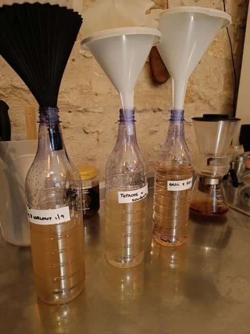Private Kombucha Making Workshop in Cyprus - The Tasting Portion: What to Pay Attention To