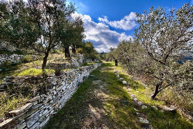 Private:Lefkara Village, Olive Farm incl. tasting and Donkey Farm - A Realistic Schedule for Your Day (Without the Stress)