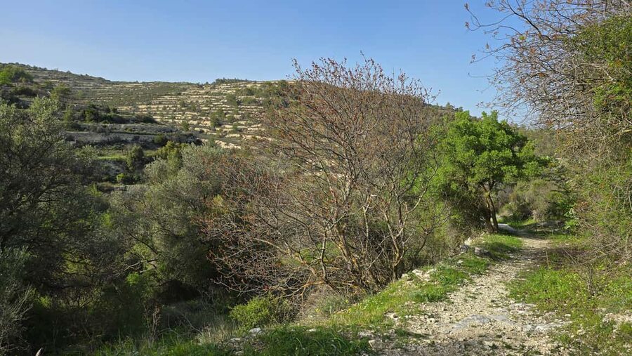 PRIVATE TOUR | Troodos Mountain: Waterfall, Villages & Lunch - Omodos Coffee Break: The Best Part of the Middle of the Day