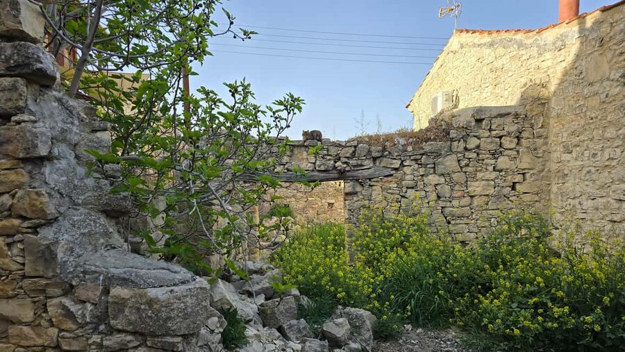 PRIVATE TOUR | Troodos Mountain: Waterfall, Villages & Lunch - Timios Stavros Monastery Ruins and the Holy Cross Photo Stop