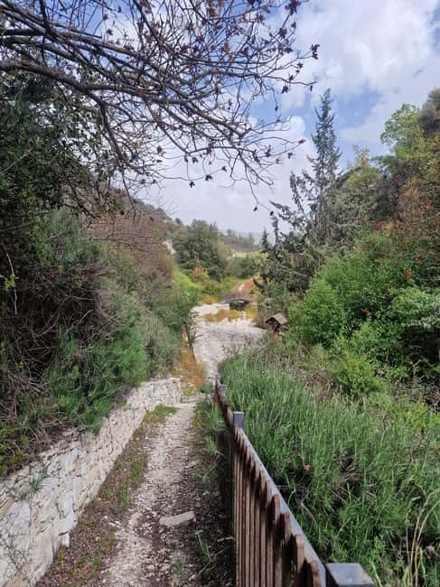 PRIVATE TOUR | Troodos Mountain: Waterfall, Villages & Lunch - The Meze Lunch: The Real Reason This Tour Feels Worth It
