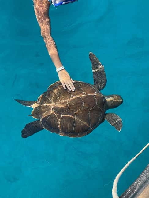 Protaras: Blue Lagoon and Turtles Pirate Cruise - Morning adventure vs sunset cruise, which one I’d pick