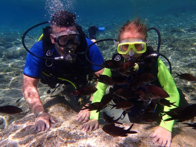Protaras: Bubblemaker Diving Course & 2-Meter Dive - Key points you should know before you go