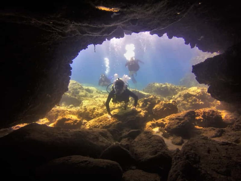 Protaras: Cape Grecko Single Dive for Qualified Divers - Key highlights you’ll care about