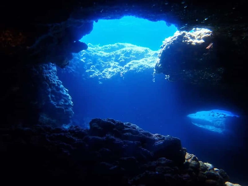 Protaras: Cape Grecko Single Dive for Qualified Divers - Should you book this Cape Grecko qualified-diver session?