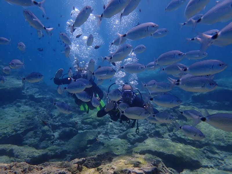 Protaras: Cape Grecko Single Dive for Qualified Divers - Hotel pickup, paperwork, and a modern scuba center rhythm